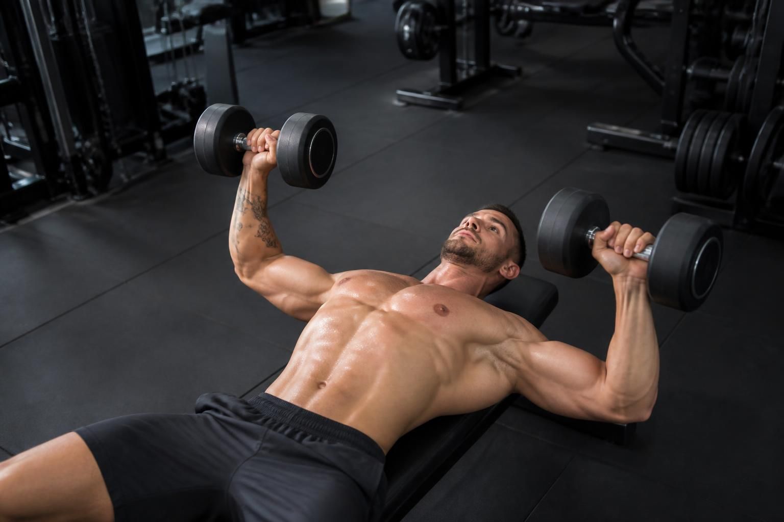 découvrez le mouvement essentiel pour travailler efficacement vos pectoraux avec des haltères grâce à cet exercice facile à maîtriser.